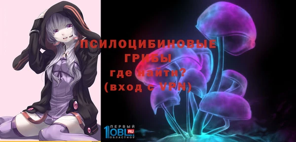 a pvp Алексин