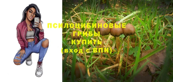 а пвп мука Пестово
