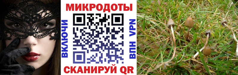 Псилоцибиновые грибы Magic Shrooms  Алушта 